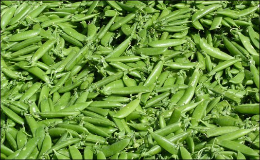 beans-69545_640