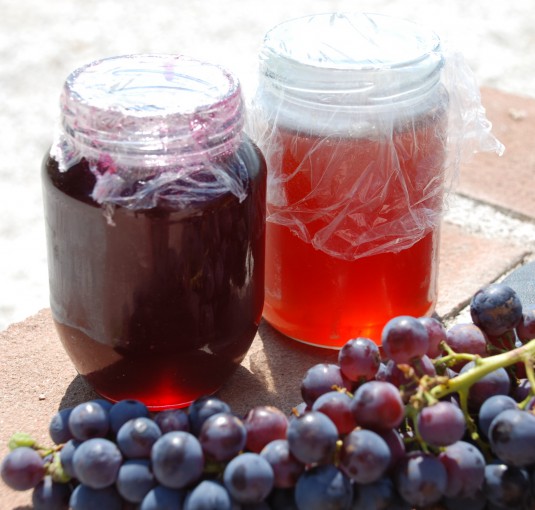 grapes-grape-jam-and-grape-jelly