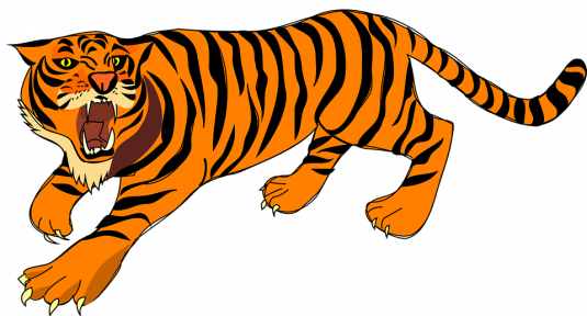 tiger-48301_960_720